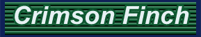 crimsonheader.gif (2303 bytes)